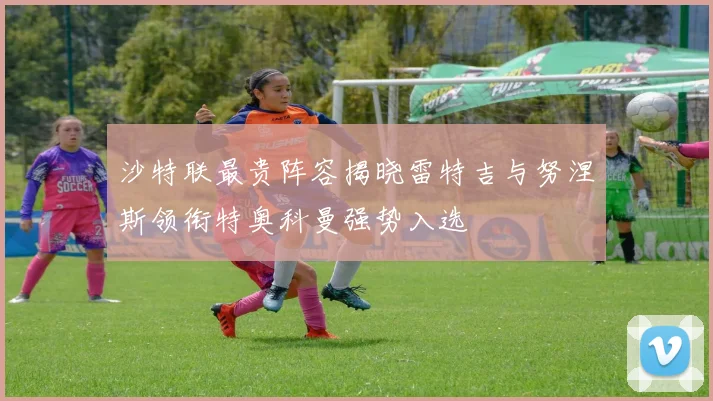 沙特联最贵阵容揭晓雷特吉与努涅斯领衔特奥科曼强势入选